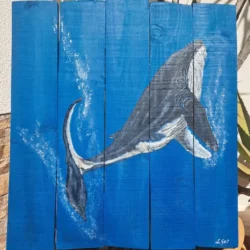 Ballena jorobada