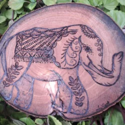 Elefante indio