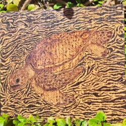 Tortuga pirograbado