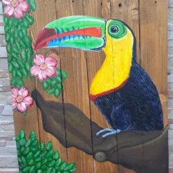 Tucán Pico Iris